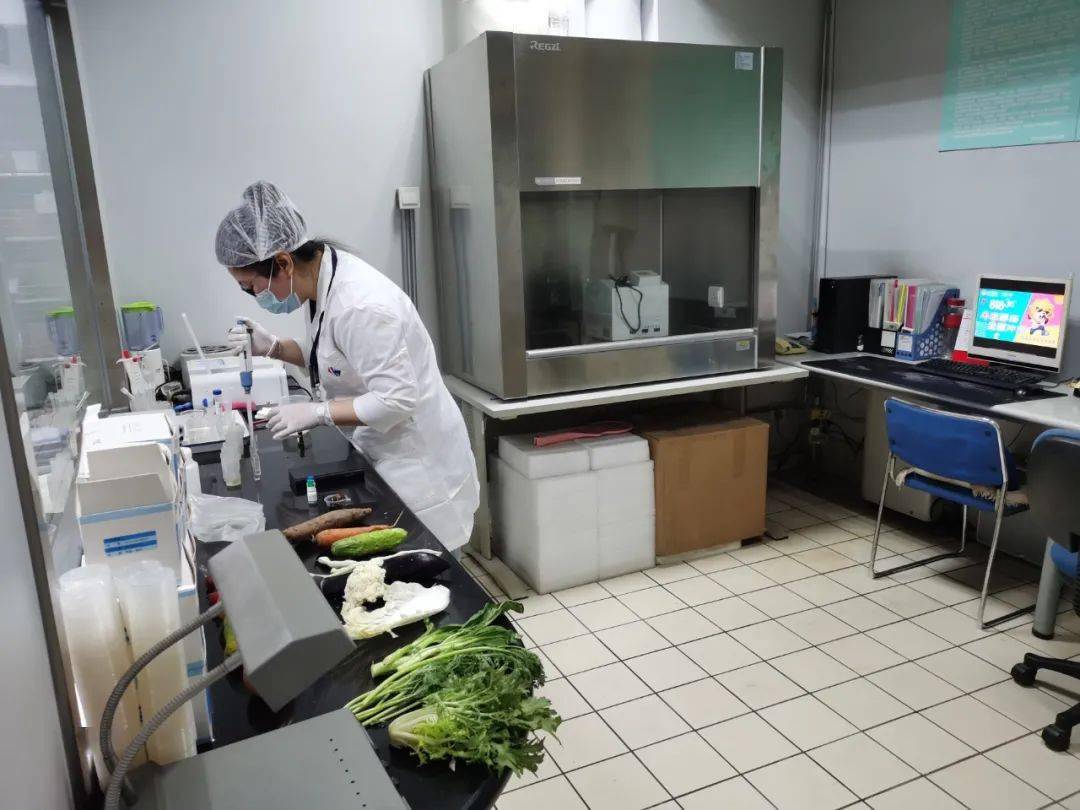 西华食品检测实验室装修方案